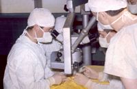 Microsurgery on actual patients was preceded by extensive research. Used with the permission of the Bernard OBrien Institute of Microsurgery.
