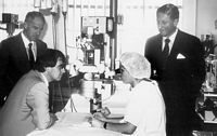 Tony Charlton (L) and Laurie Muir (R) watch on as Sue McKay explains aspects of microsurgery to visiting Federal MP, Simon Crean in 1987. Used with the permission of the Bernard OBrien Institute of Microsurgery.