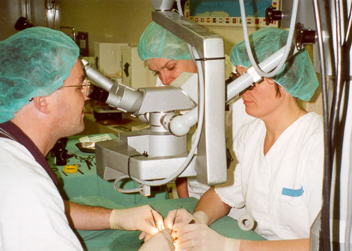 Sue McKay (C) and Liliana Pepe (R) teach operating microscope techniques to visiting Irish Fellow, Dr Kevin Cronin. Used with the permission of the Bernard OBrien Institute of Microsurgery.